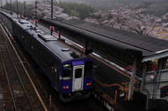 笠置の春