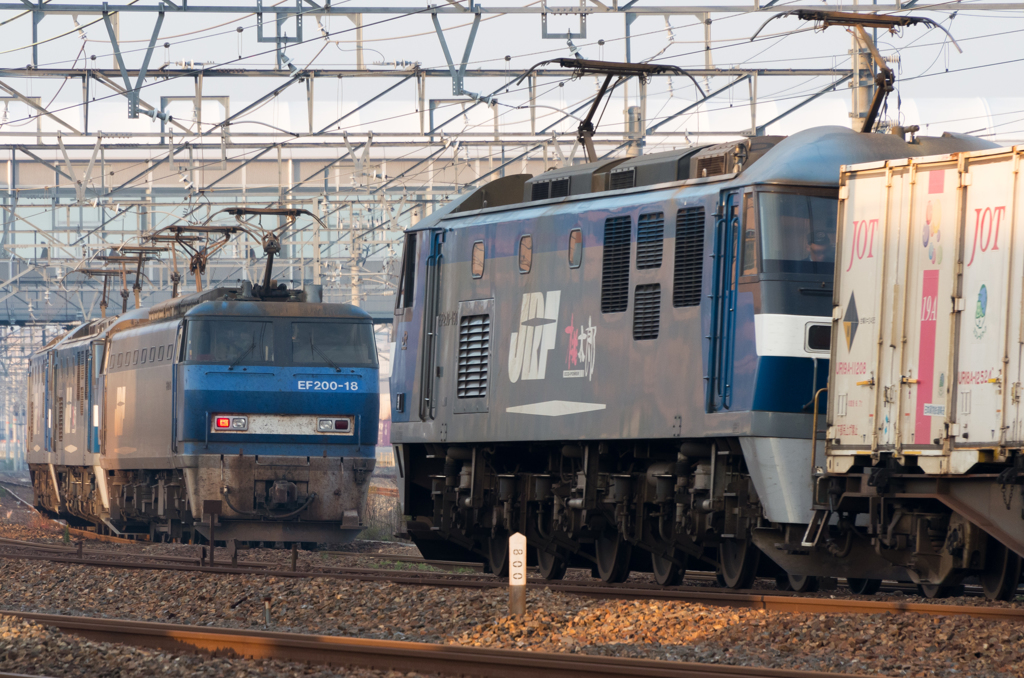 IMGP3183