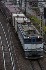 CSC_2669-00