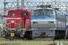 1000022924