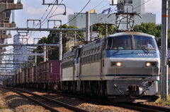 CSC_1774-1