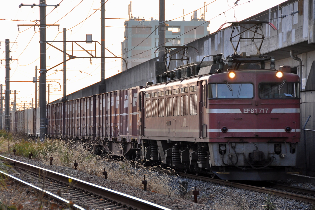 CSC_2589-00