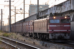 CSC_2589-00