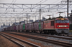 CSC_2157-03