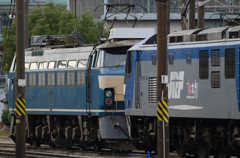 DSC_4867