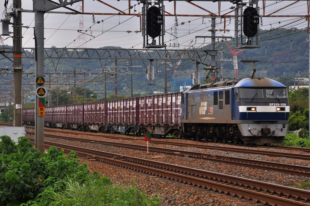 CSC_0594-0