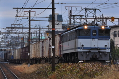 CSC_2095-0