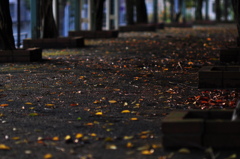 秋道