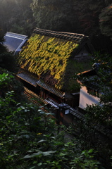 里の朝
