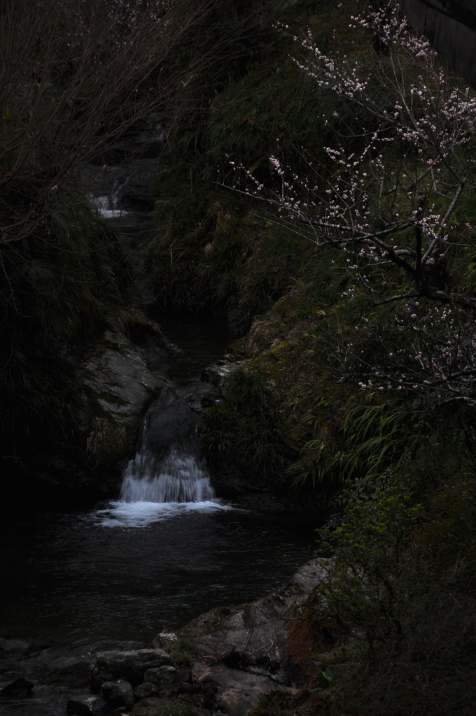 奈良県五條市 西吉野町