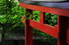 青葉