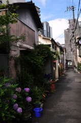 路地