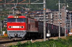 CSC_2530-0