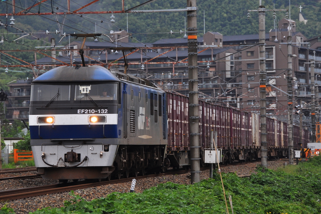 CSC_0597-0
