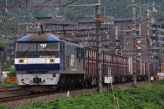 CSC_0597-0