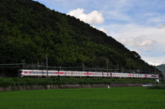 夏を行く