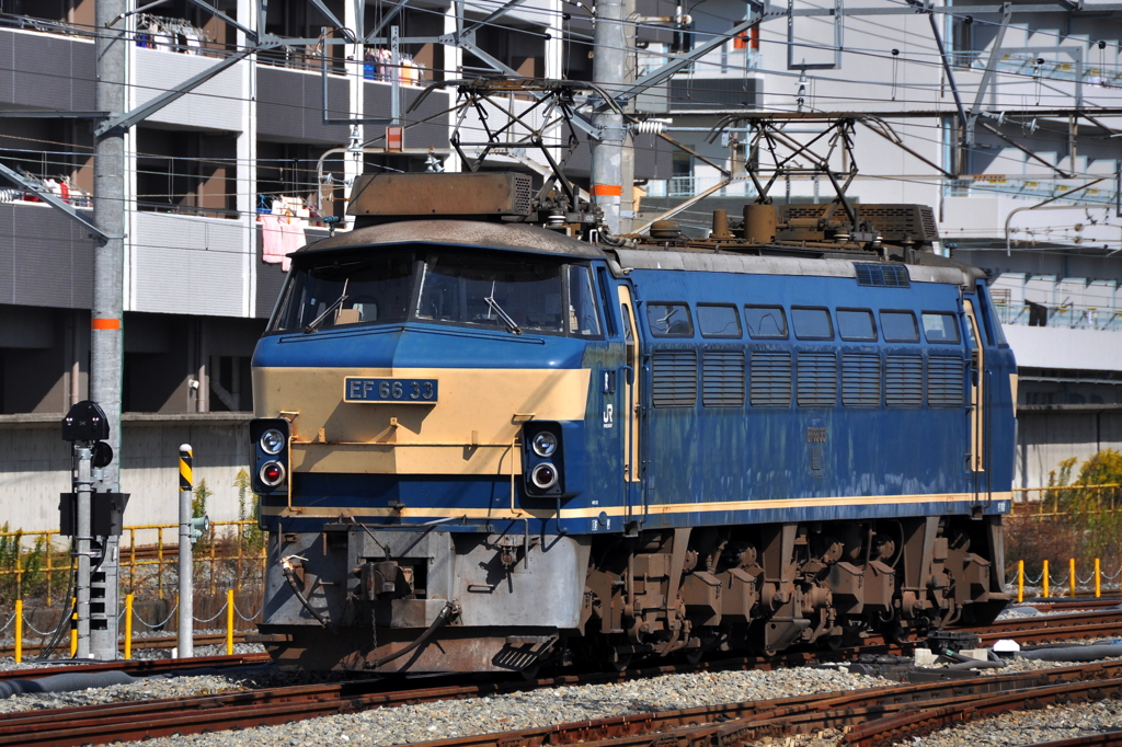 CSC_1644-0