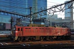 CSC_2529-0