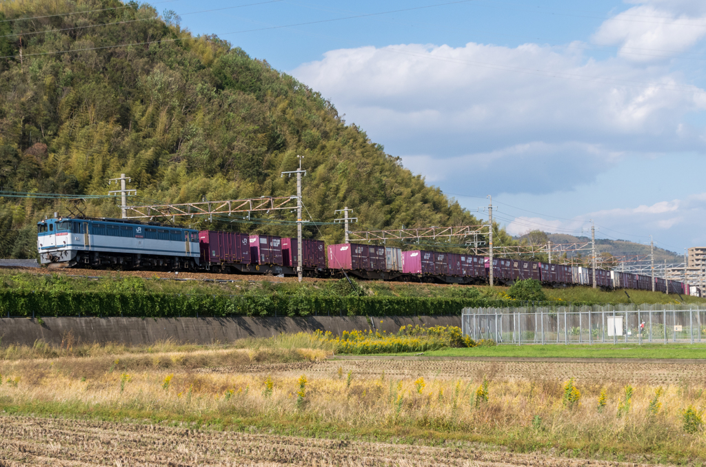 EF65 2085 [5087ﾚ]