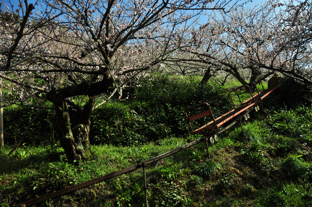 奈良県五條市 西吉野町
