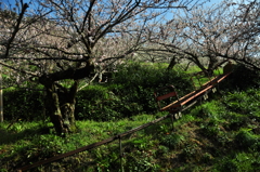 奈良県五條市 西吉野町