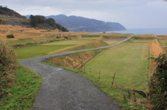 丹後半島　新井