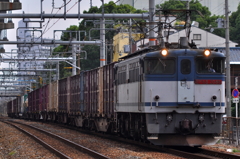 CSC_1177-0
