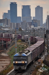 CSC_2588-00