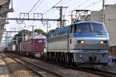CSC_2164-2