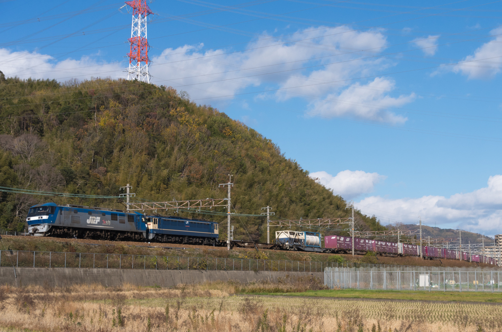 EF210-114+ﾑﾄﾞEF65 2092 [5085ﾚ]