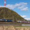 EF210-114+ﾑﾄﾞEF65 2092 [5085ﾚ]