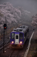 春雨を行く