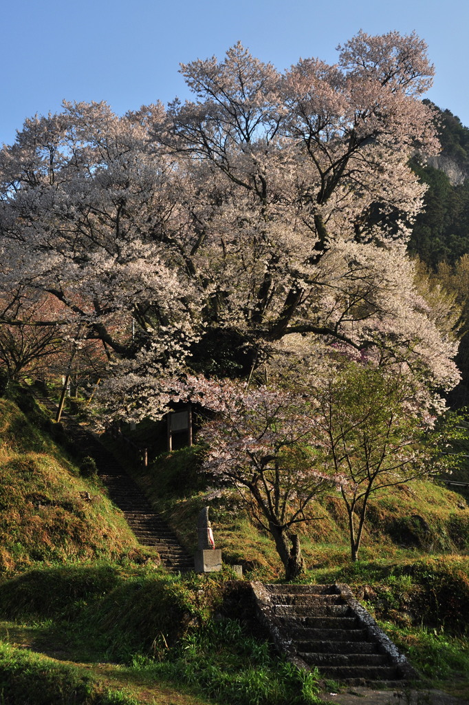 奈良県宇陀市 佛隆寺