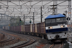 CSC_1911-000