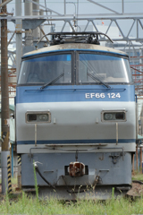 1000022928