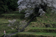 奈良県宇陀市 佛隆寺