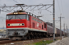 CSC_2156-77