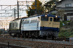 CSC_2491-0