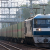 EF210-148 [55ﾚ]