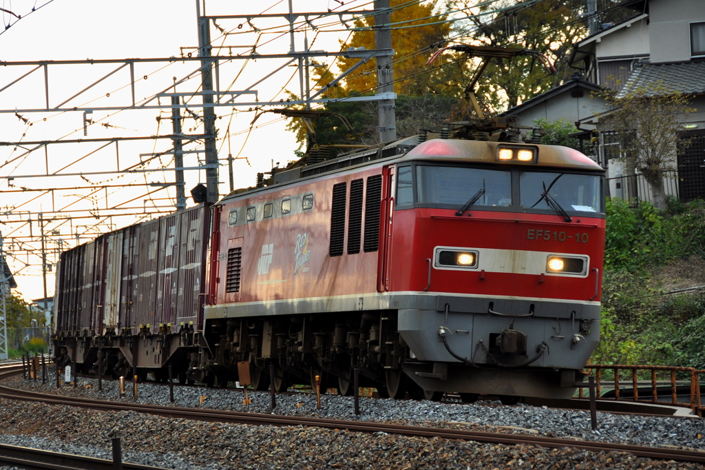 CSC_2488-01