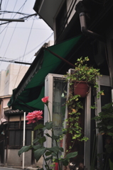 町角の色