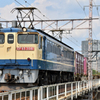 EF65 2081 [5087ﾚ]