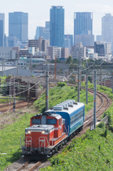 DD51 1193+オハ12