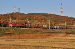 CSC_2024-0