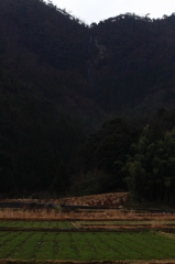 幻の滝(布引の滝）