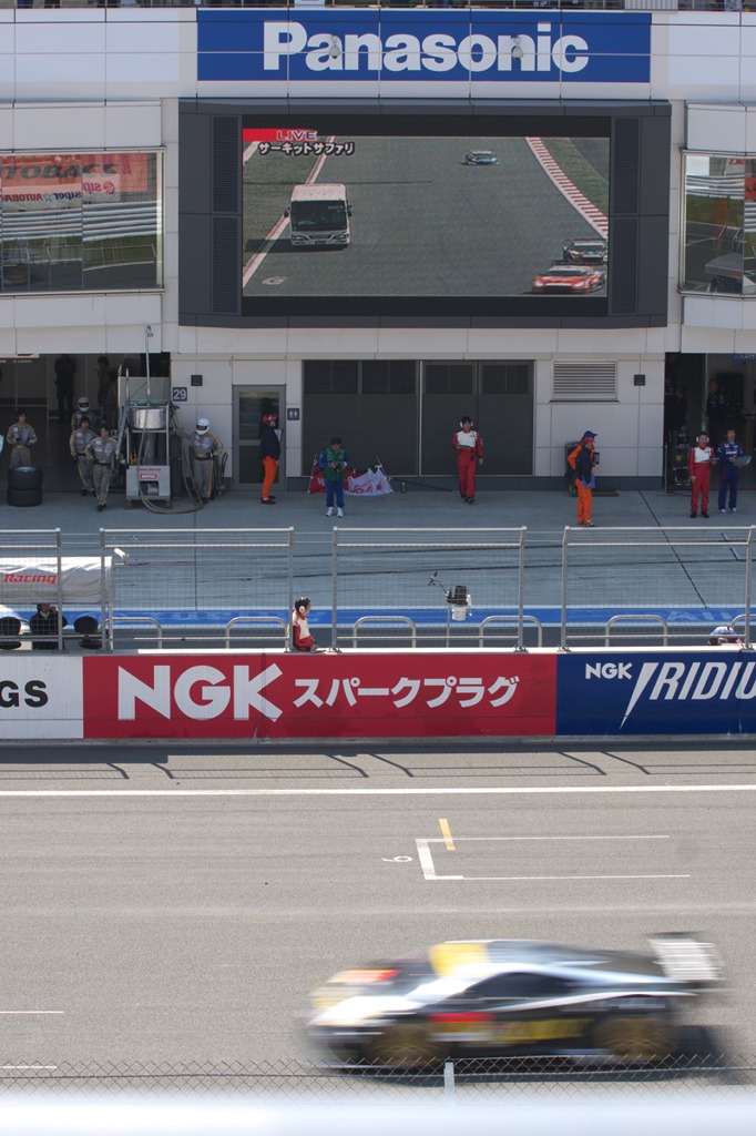 サーキットサファリ実施中。