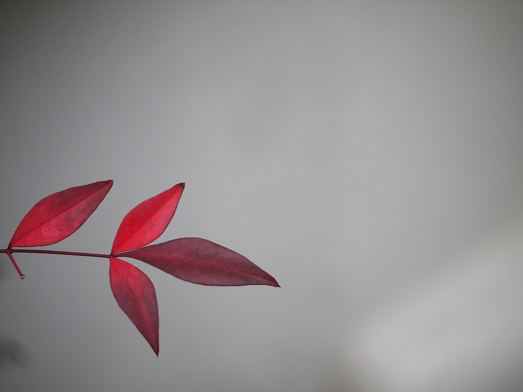 モノクロの背景