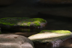 公園の中の静寂