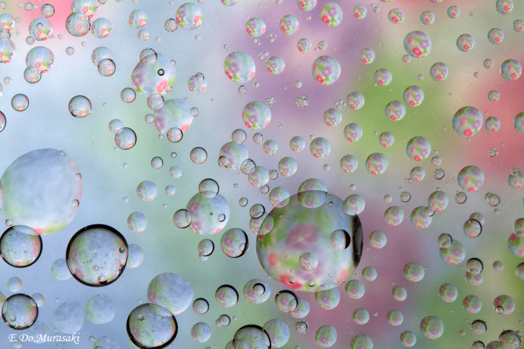 花の雨