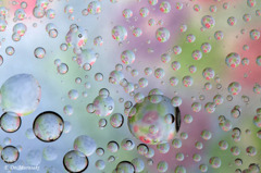 花の雨